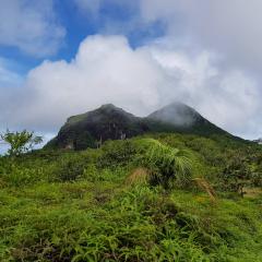 Morne Seychellois
