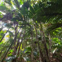Praslin National Park