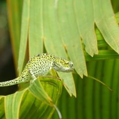 Praslin National Park