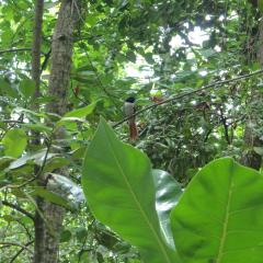 Veuve Special Reserve