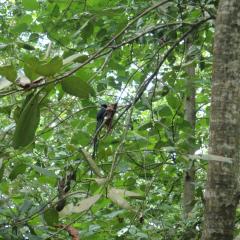 Veuve Special Reserve