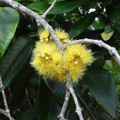 Praslin National Park