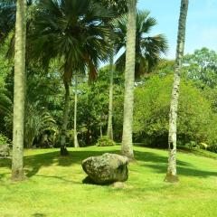 The Botanical Garden