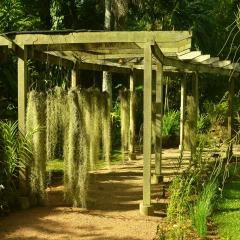 The Botanical Garden