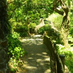 The Botanical Garden