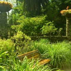 The Botanical Garden