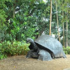 The Botanical Garden