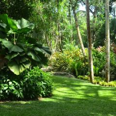 The Botanical Garden