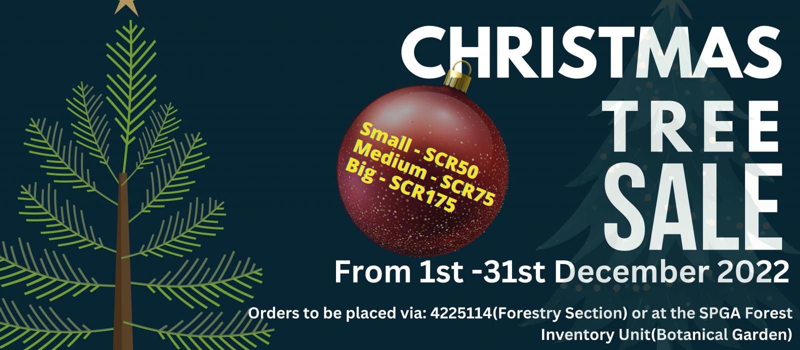 Christmas Tree Sale Banner